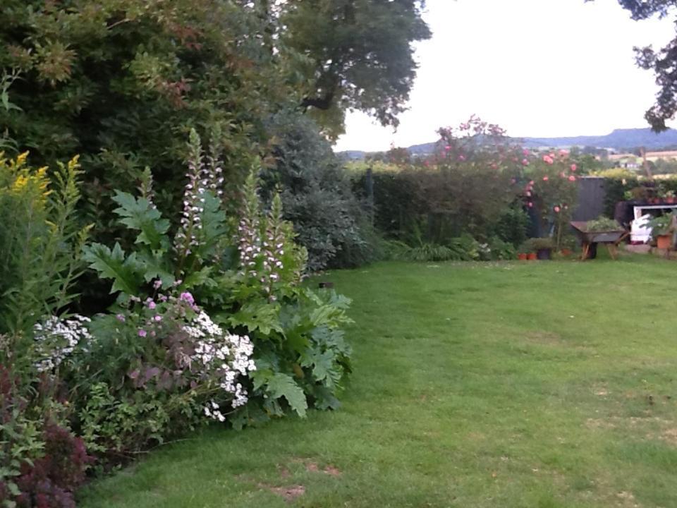 Swan Cottage Coxwold Экстерьер фото